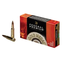 Federal Premium 300WSM 11,7g / 180gr 